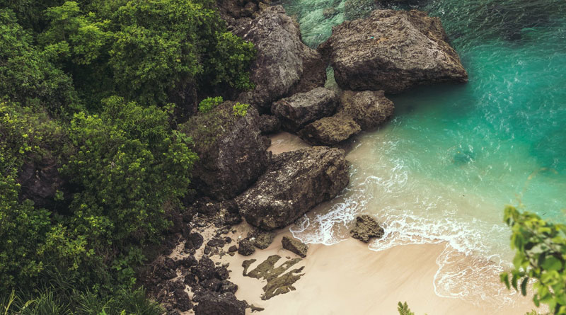 How to Travel to Australian Forest