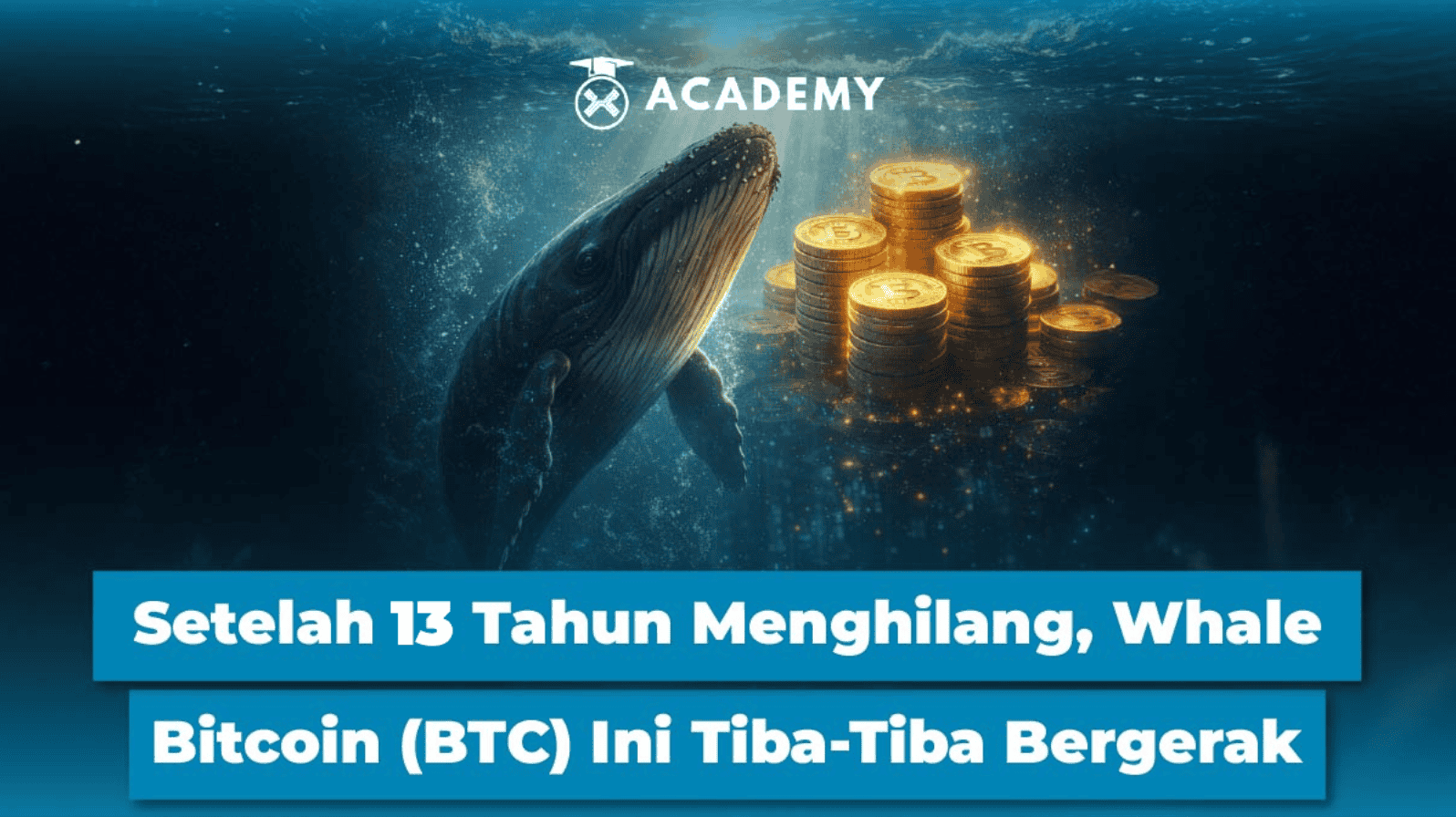 Whale Bitcoin dormant 13 tahun memindahkan 500 BTC senilai 40 juta dolar AS pada 11 Mei 2026