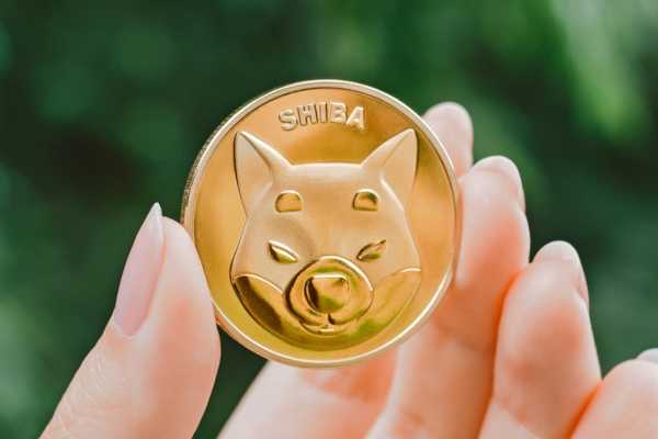 Shiba Inu Team beginnt mit der Implementierung von ShibPaper | kryptowaehrung365.com