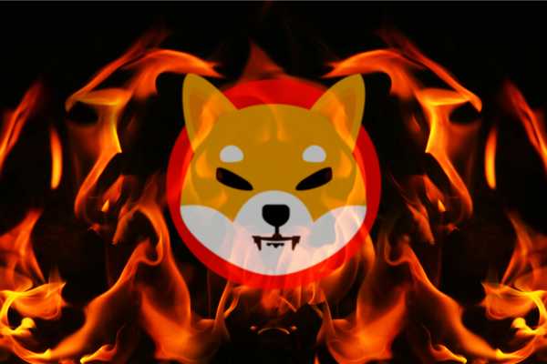 Shiba Inu hat die Entwicklung eines Burn-Portals bestätigt | kryptowaehrung365.com