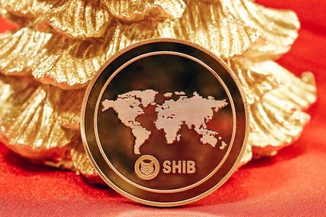 Shiba Inu kaufen SHIB Coin Kryptowährung